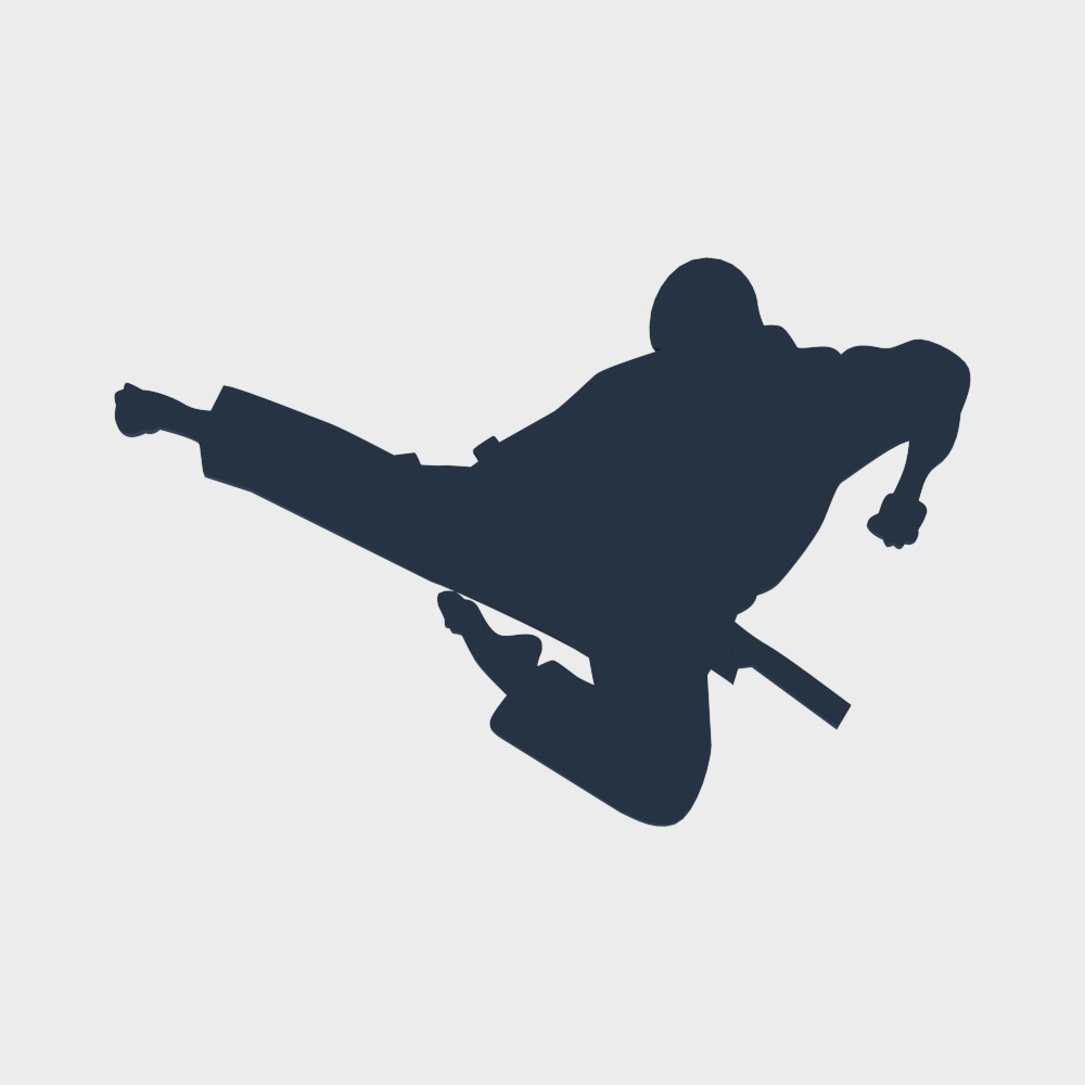 Silhouette di calcio taekwondo arti marziali