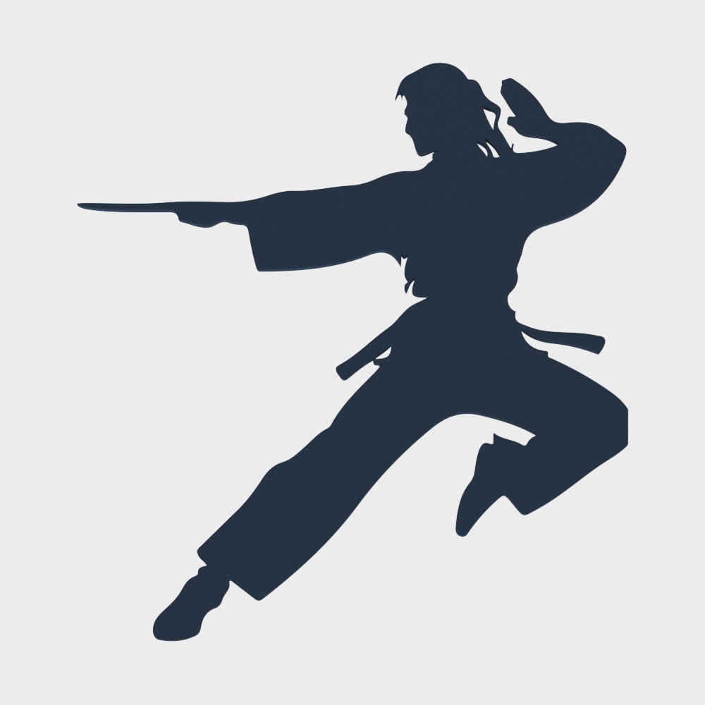 Silhouette de taekwondo