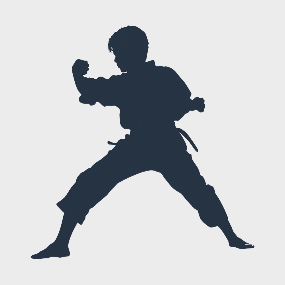 Силуэт тхэквондо