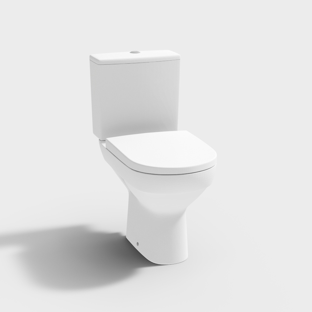 Toilet Bowl