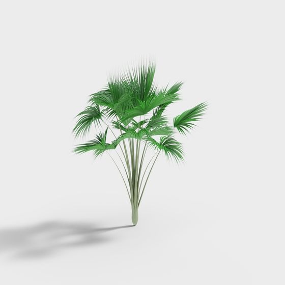 Low-Poly Palm Tree 3D model