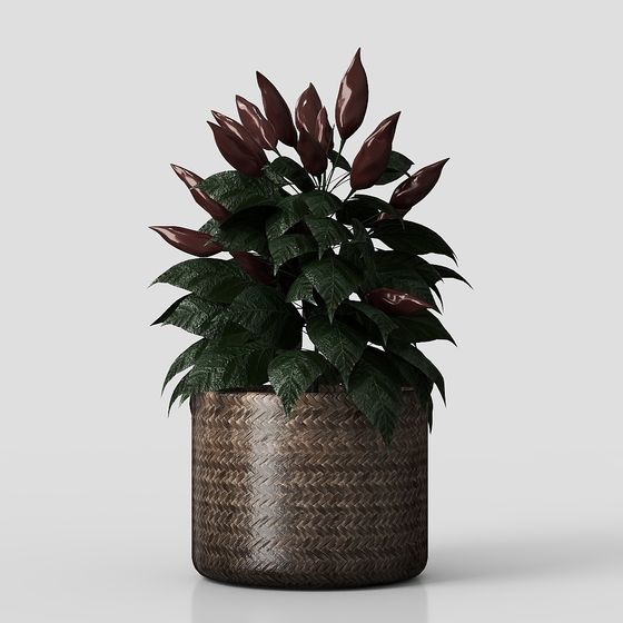 Woven Basket Plant 3D model