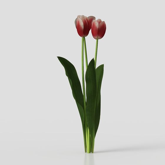 Tulip Dance Low-Poly 3D Model for Creative Projects