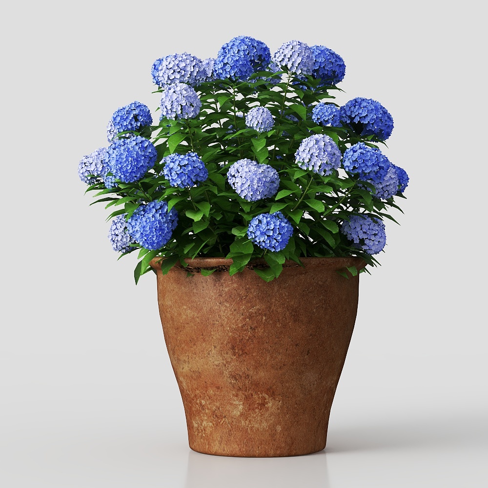 Blue Hydrangea Potted Plant 3D Model – Low-Poly Floral