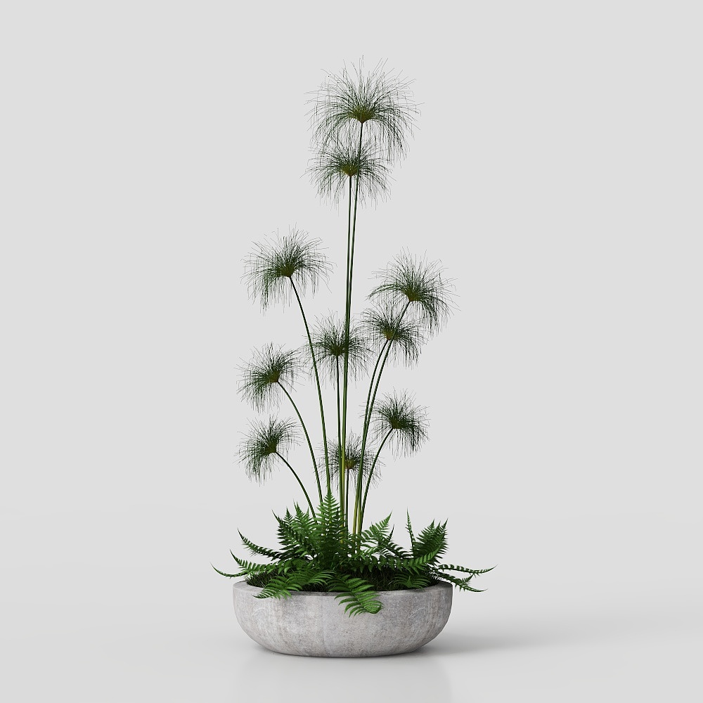 Moderne grüne Pflanzen