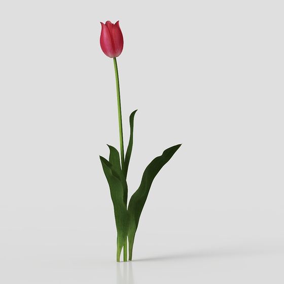 Vibrant Low-Poly Tulip 3D Model