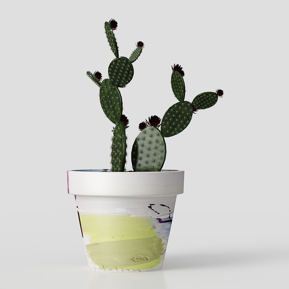 Cactus