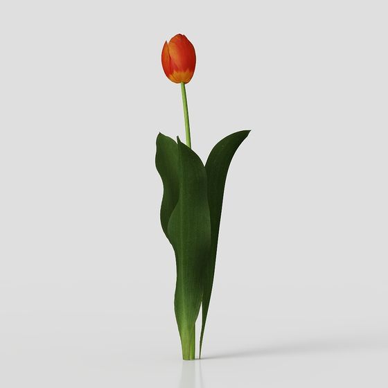 Vibrant Tulip 3D model for Creative Projects