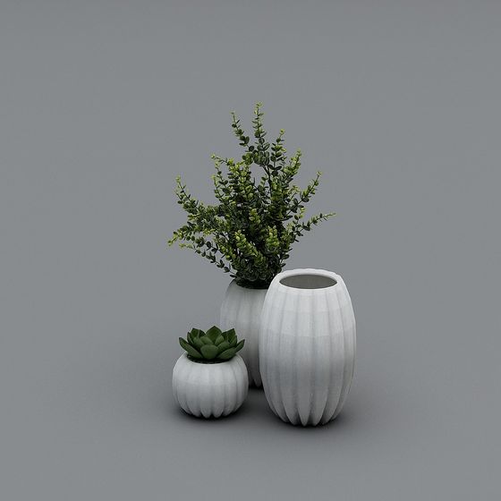 Elegant Vase and Greenery Combo 3D model