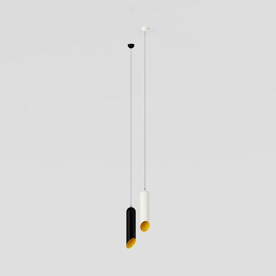 Unique Minimalist Pendant Light 3D model