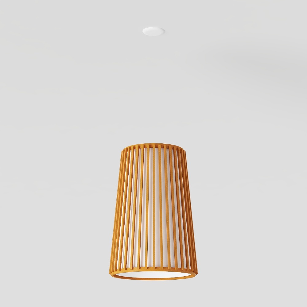 Pendant Light