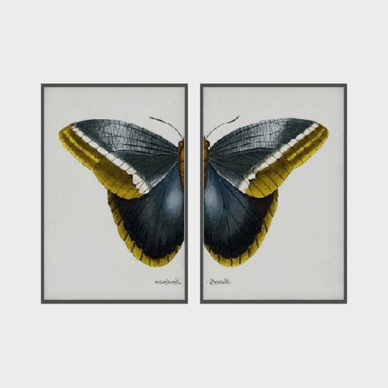 Elegant Butterfly Diptych 3D Model for Artistic Spaces