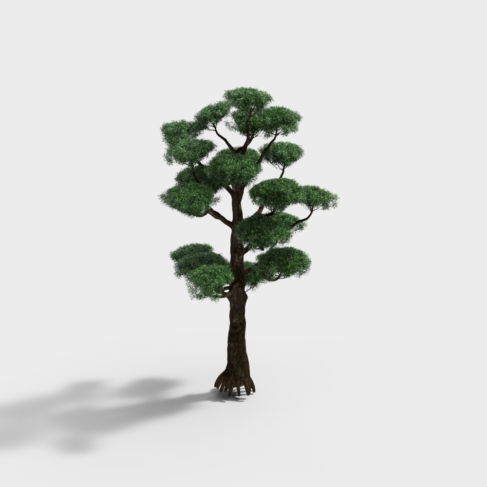 Cây Cảnh Trang Trí – Hình Dáng Cây