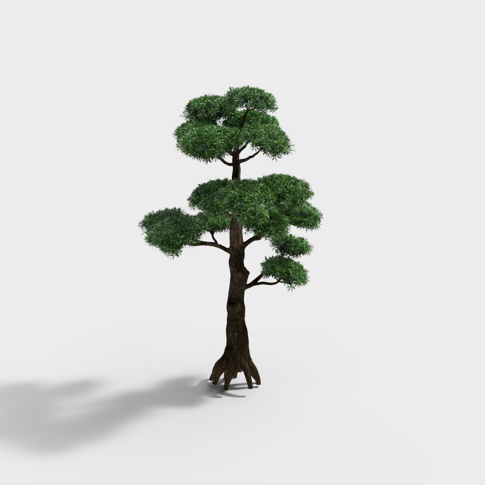 Cây Trang Trí – Cây Hình Dáng