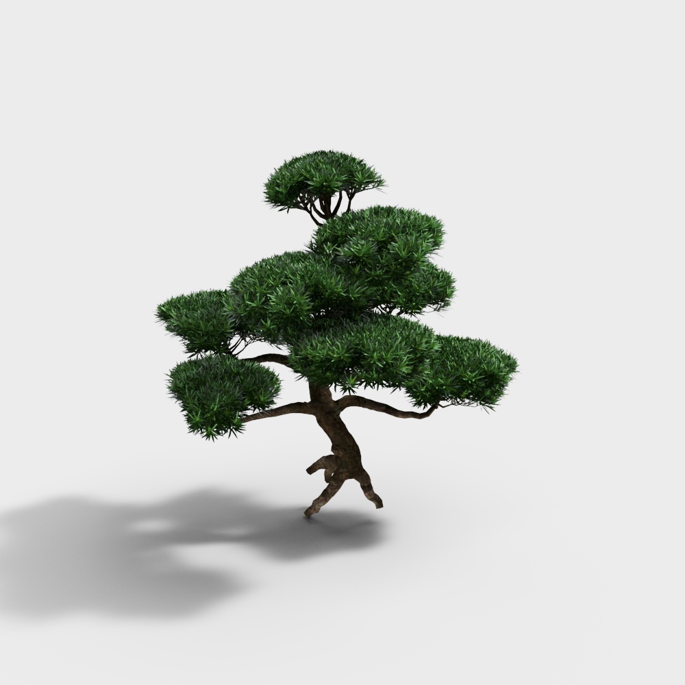 Plante ornementale - Arbre sculpté