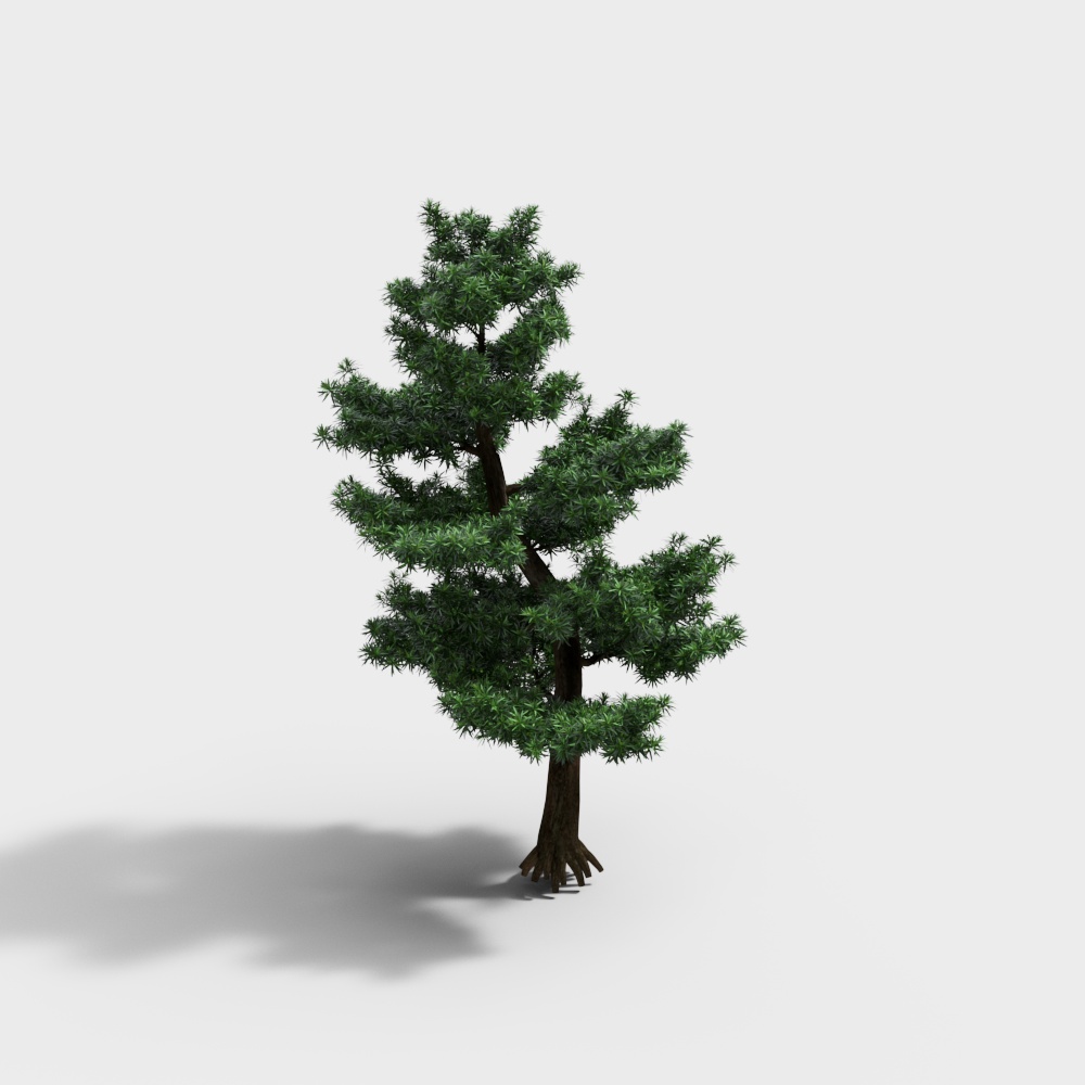 Cây Trang Trí – Cây Hình Dáng