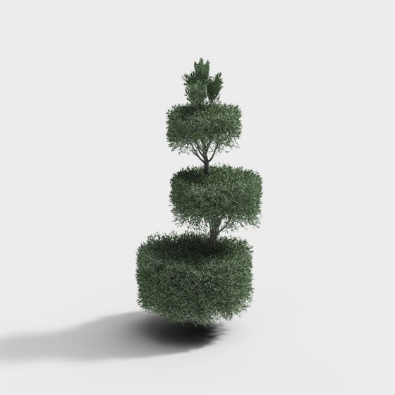 Decorative Plant Topiary