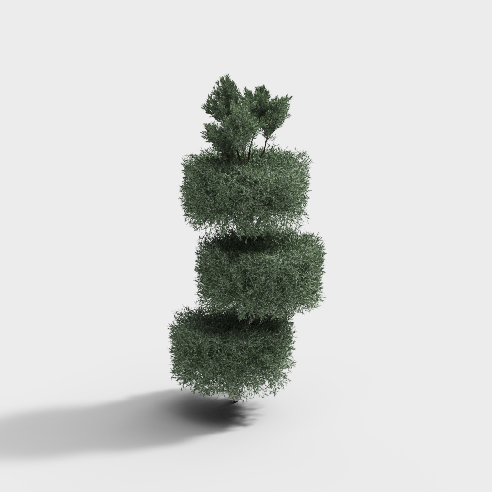 装飾用トピアリー植物