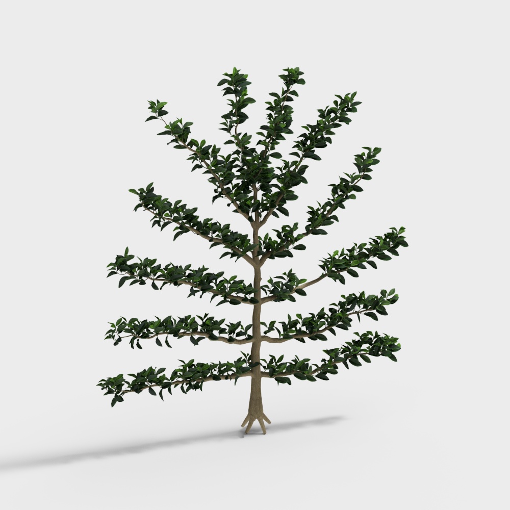 装飾用植物彫刻