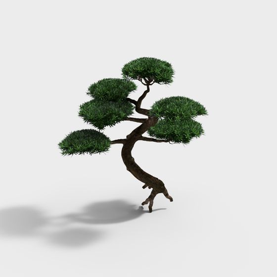 Ornamental Plant Tree