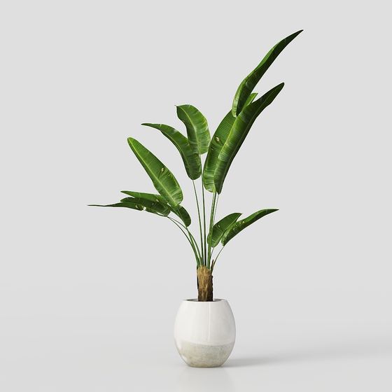Realistic Indoor Plant 3D Model for Natural Spaces
