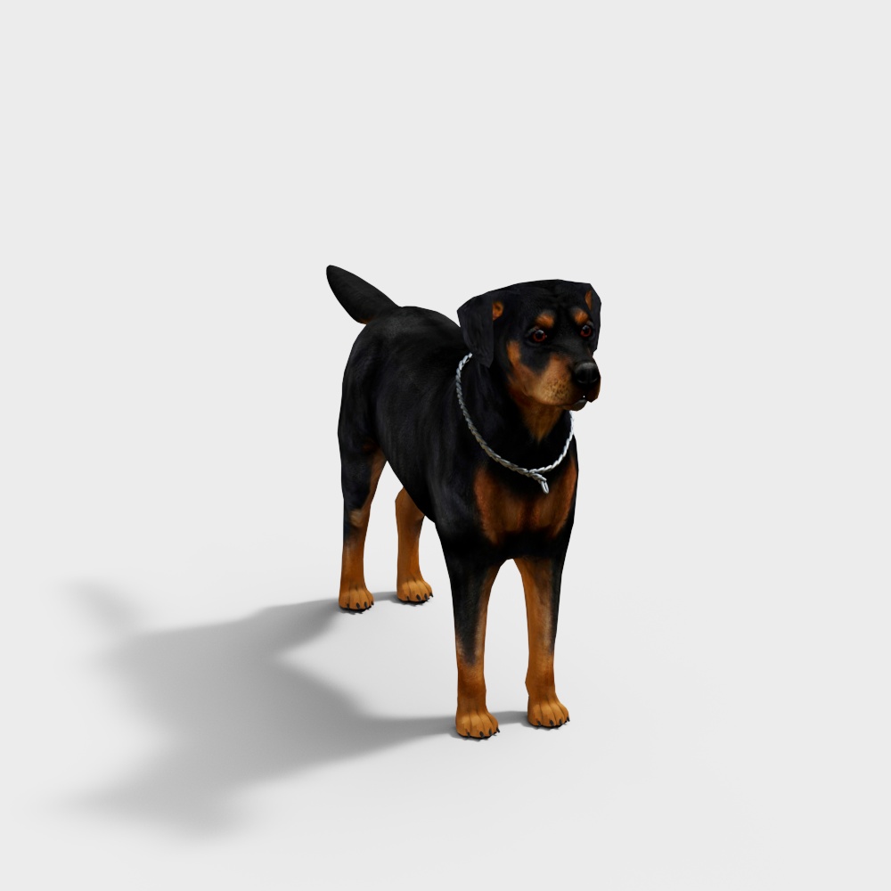 Rottweiler-Hund
