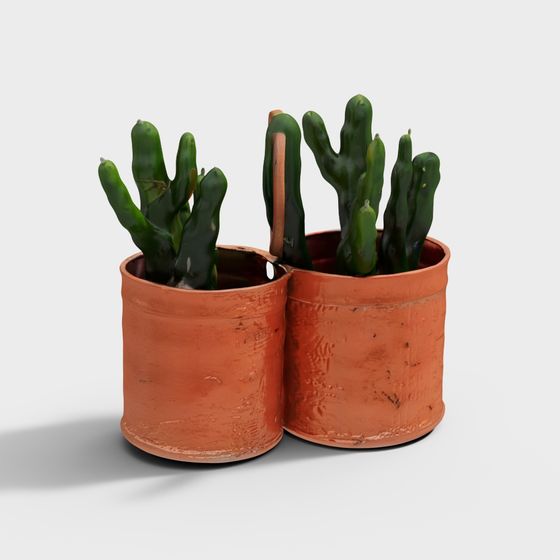 Dual Pot Cactus 3D model for Creative Projects