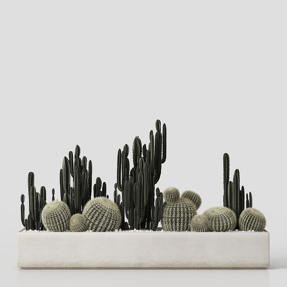 Desert Oasis 3D model