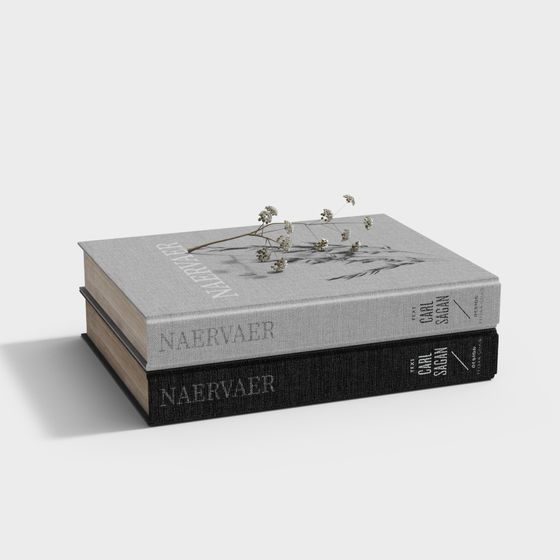 Unique Low-Poly Book 3D Model - Naervaer and Carl Sagan