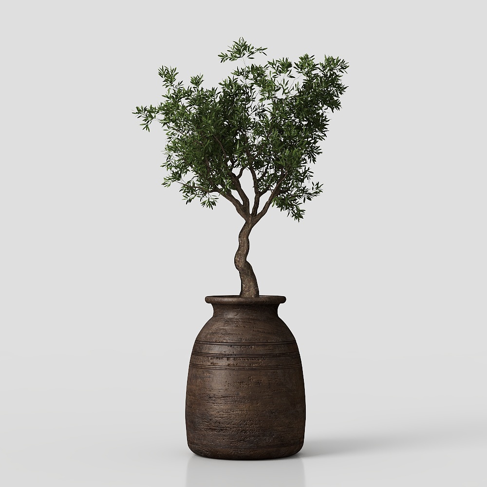 Realistic Potted Olive Tree 3D model