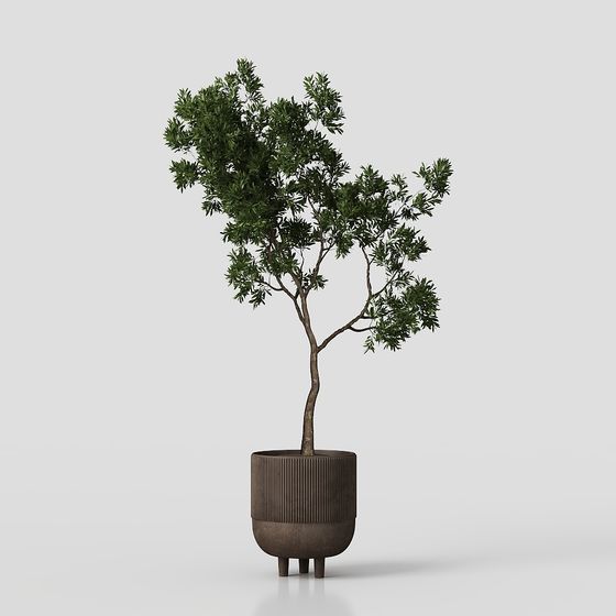 Stylish Low-Poly Potted Plant 3D model