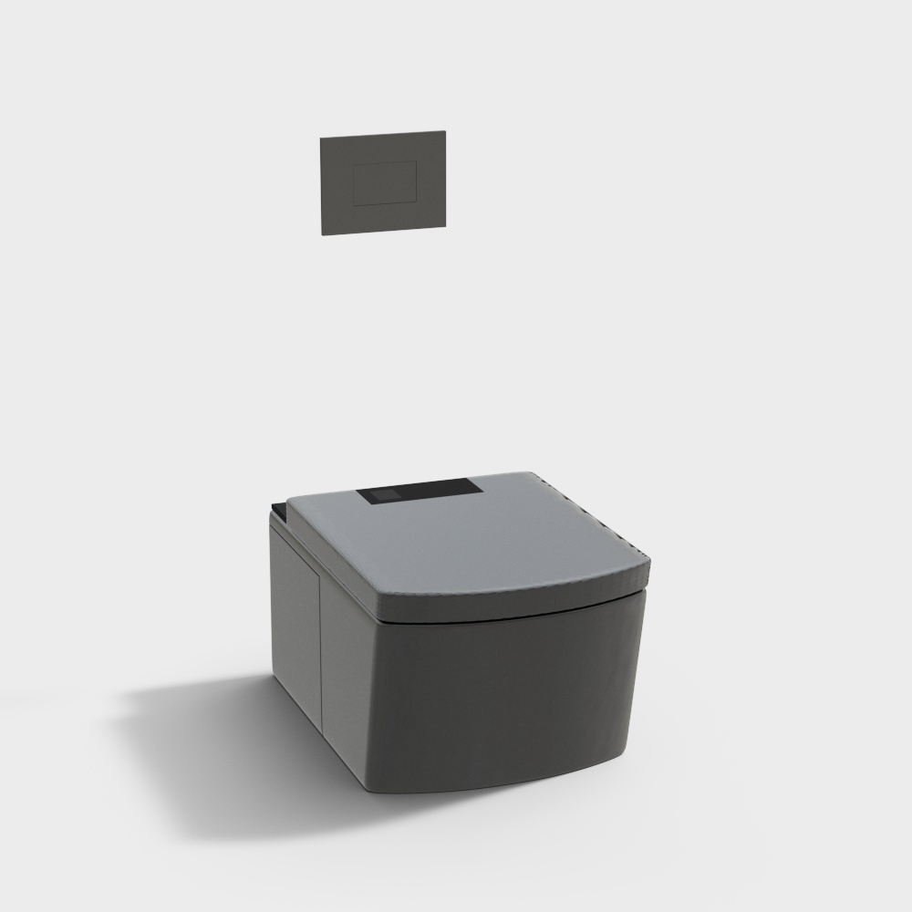 Современный минималистичный чёрно-белый туалет