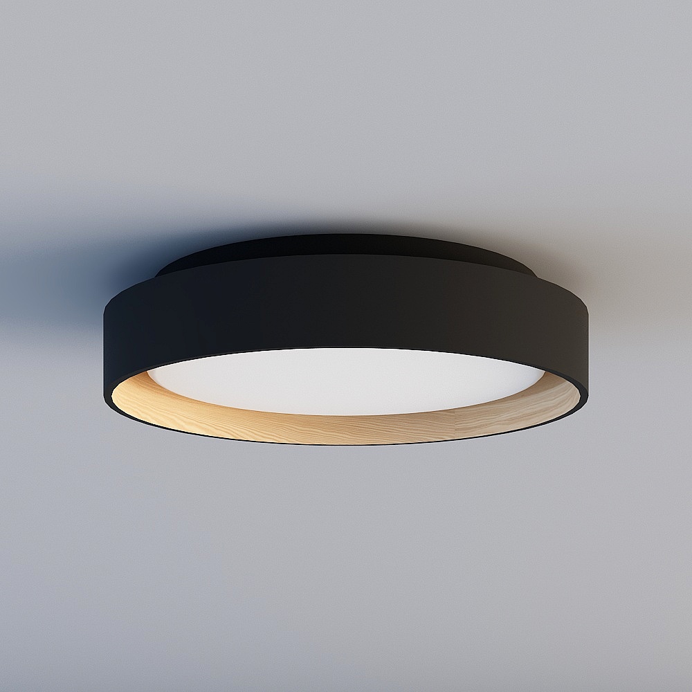 LED Ceiling Light Malai Inspired
