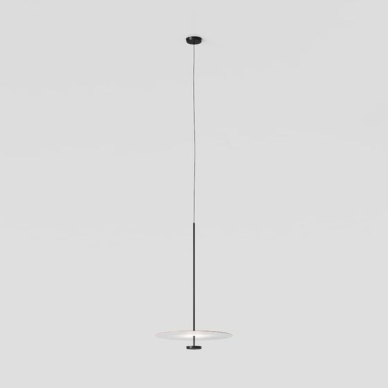 Stylish Pendant Light 3D model