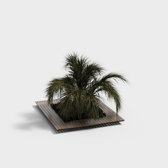 Lively Palm Tree 3D Model for Creative Projects