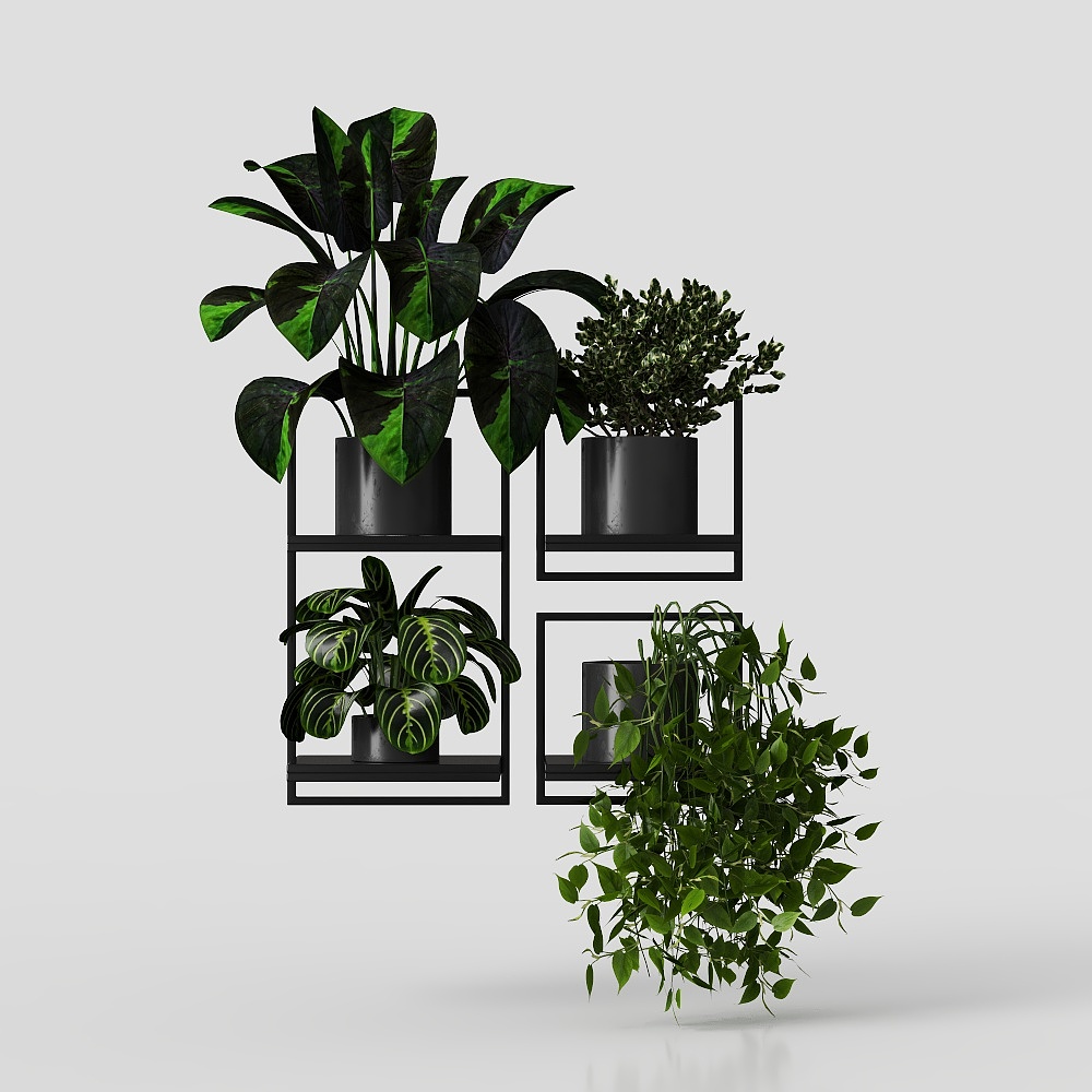 Piante da interno su telaio metallico