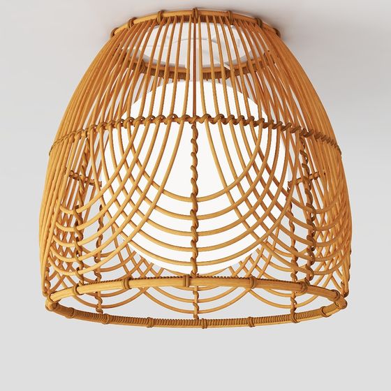 Rattan Shell Ceiling Light