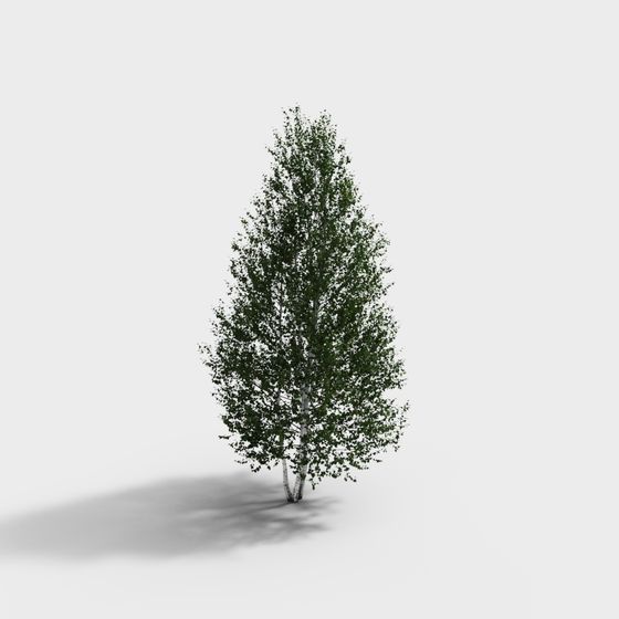 Realistic Low-Poly Birch Tree 3D Model