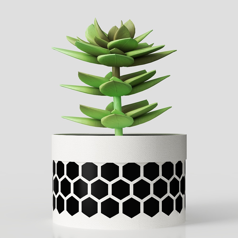 цветок в горшке