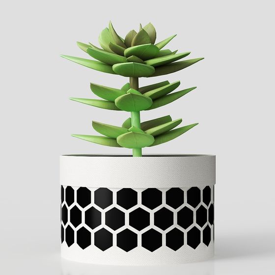 цветок в горшке