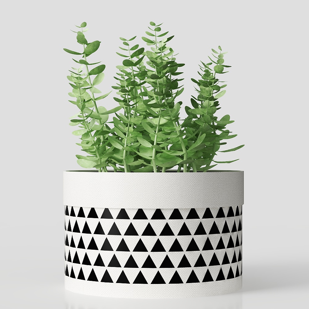 цветок в горшке