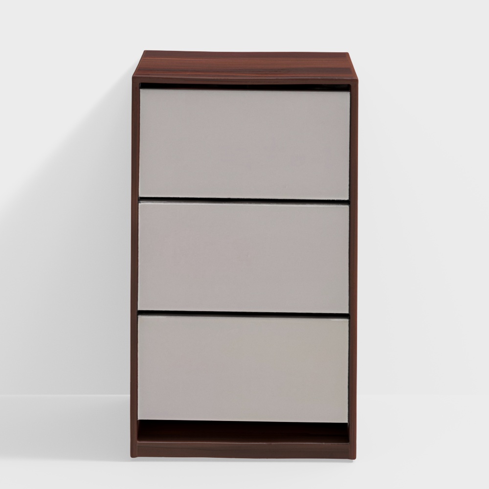 Shoe Cabinet with Pull-Down Drawers