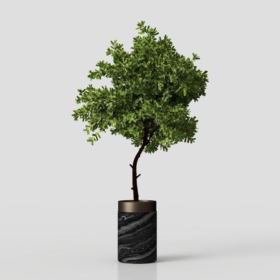 Stylish Urban Oasis Bonsai 3D model