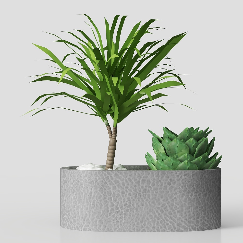 デスクトップ鉢植え植物