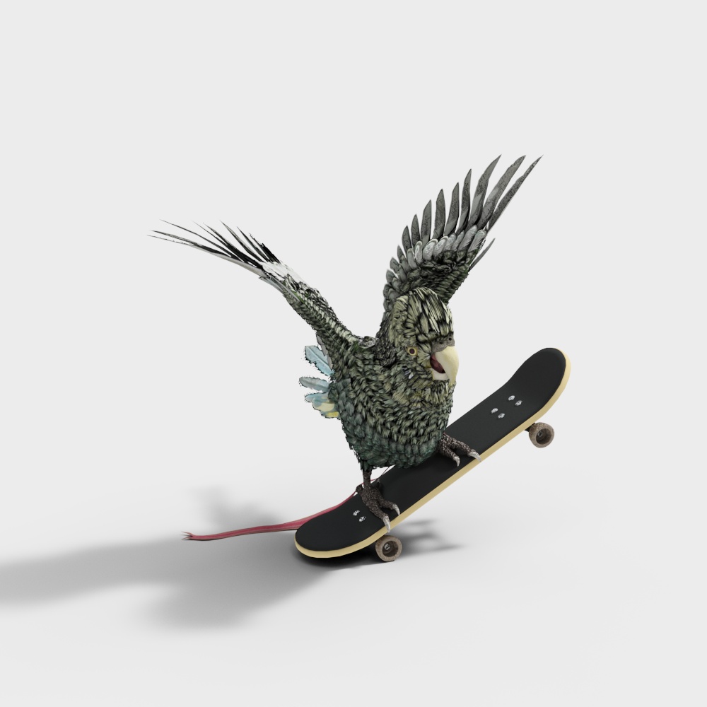 Vibrant Parrot on Skateboard 3D model
