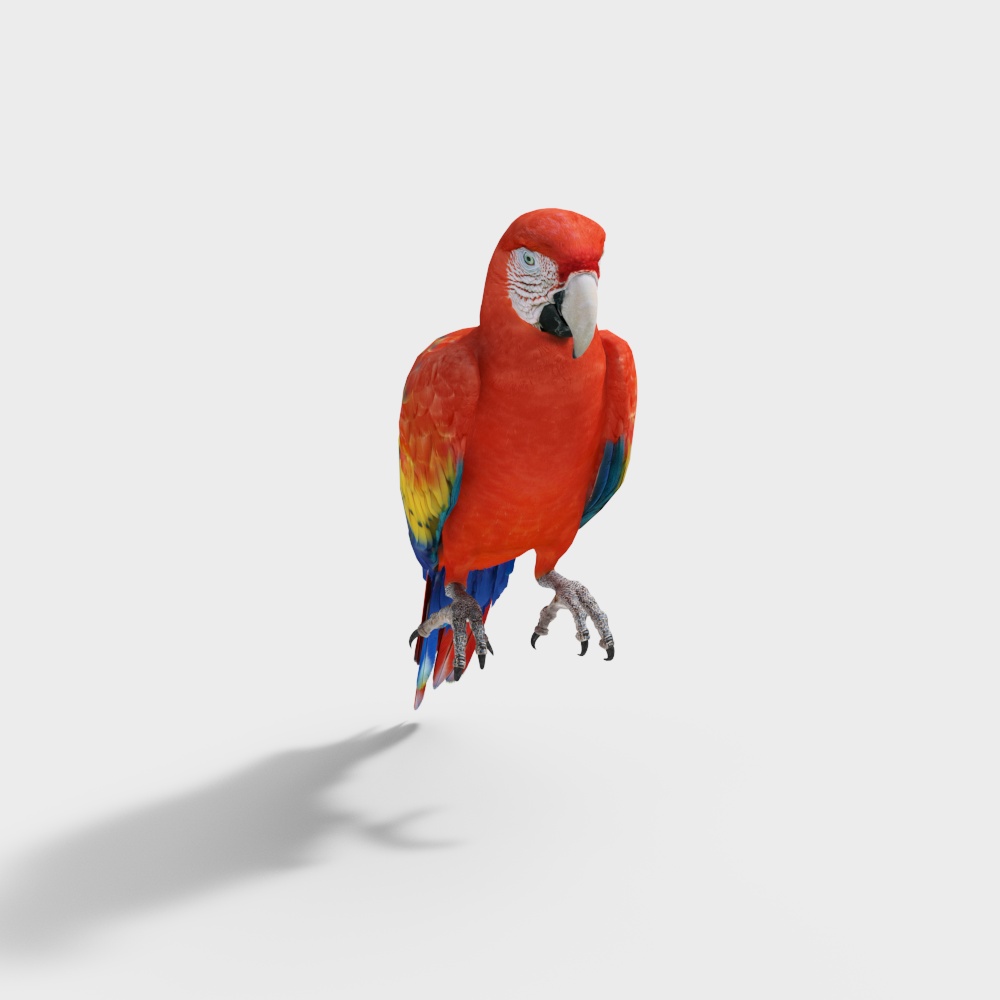 Parrot