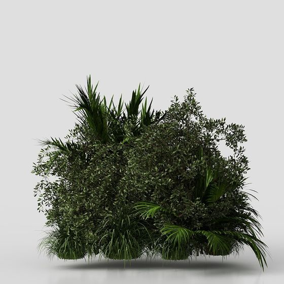 Tropical Jungle Bush 3D model