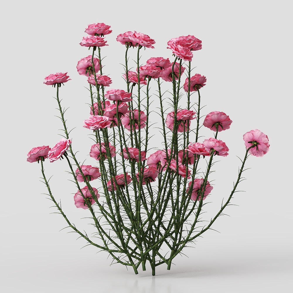 フローラル装飾