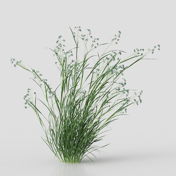 フローラルバックドロップ