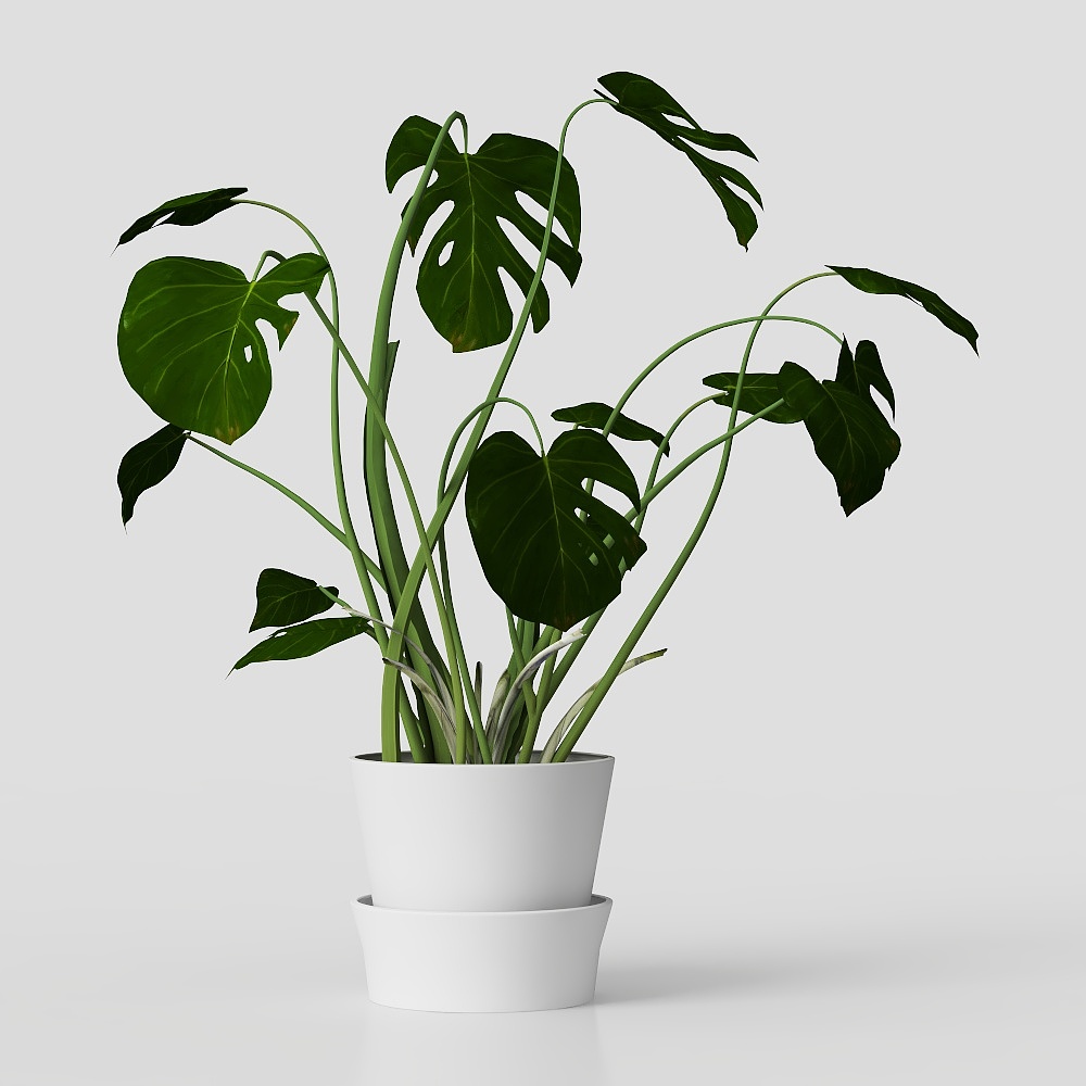 Modern Potted Plant Decorations